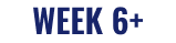 WEEK 6+ text badge
